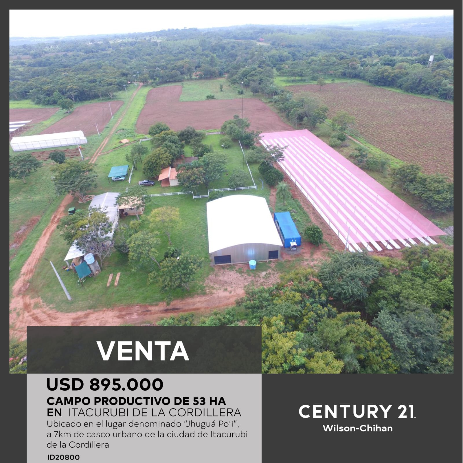 VENDO CAMPO PRODUCTIVO DE 53 HA EN ITACURUBI DE LA CORDILLERA Ref