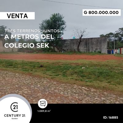 Terrenos Disponibles En Lambare A Metros Del Colegio Sek Ref Zedc B