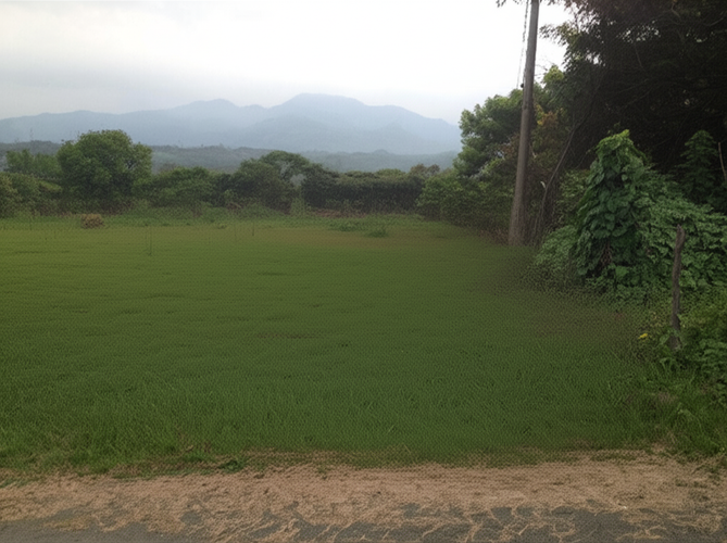 Lote en venta en Pance, Cali, 6134 m² · foto 2 de 8