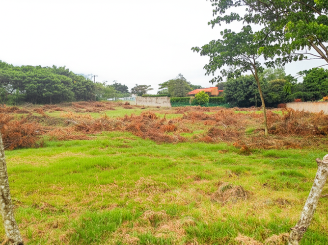 Lote en venta en Pance, Cali, 6134 m² · foto 6 de 8