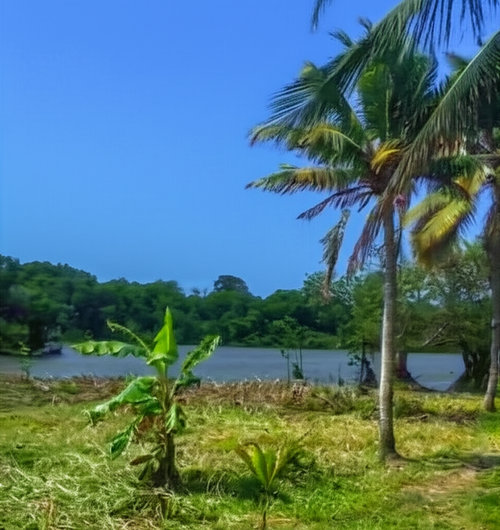 Lote en venta en Arroyo Grande, Cartagena · foto 3 de 7