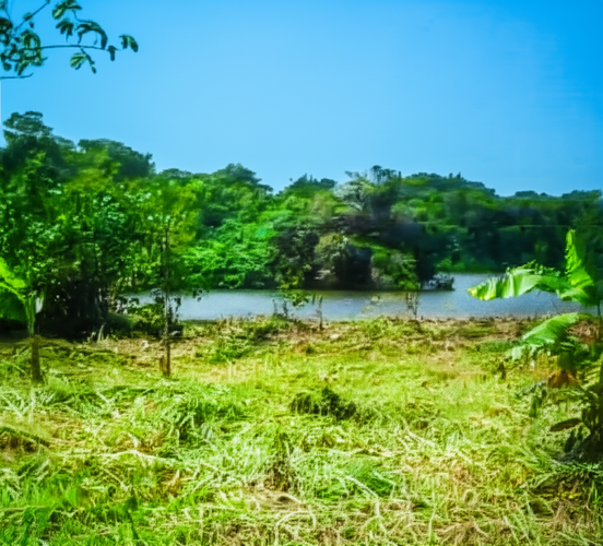 Lote en venta en Arroyo Grande, Cartagena · foto 4 de 7
