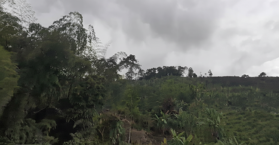 Finca en venta en Combia Baja, Pereira, 20000 m² · foto 5 de 10