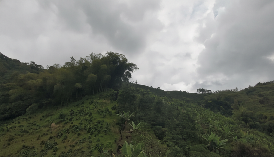 Finca en venta en Combia Baja, Pereira, 20000 m² · foto 3 de 10