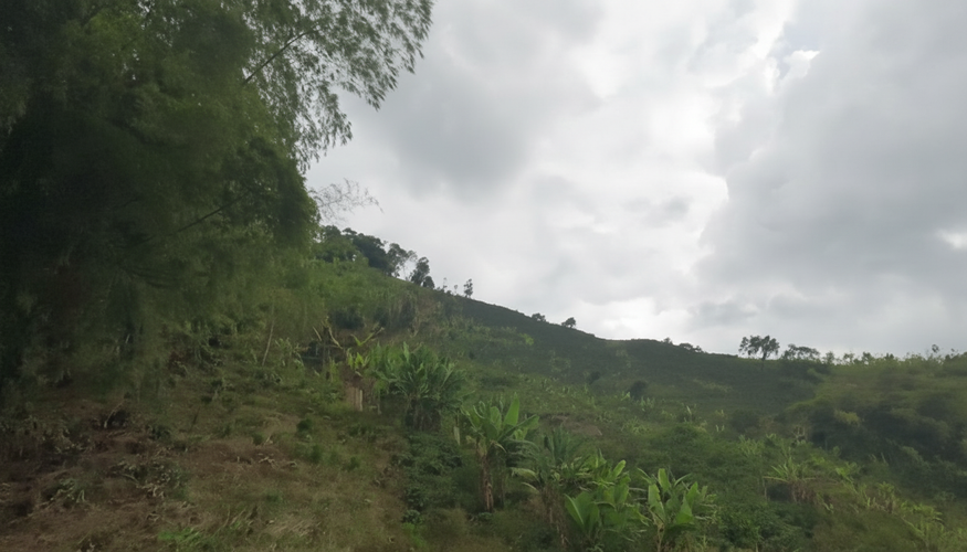 Finca en venta en Combia Baja, Pereira, 20000 m² · foto 4 de 10