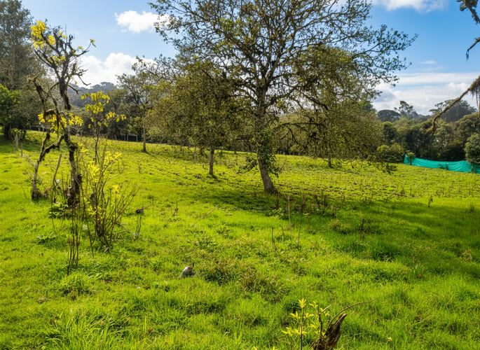 Lote en venta en Quisquiza, La Calera, 12500 m² · foto 4 de 8