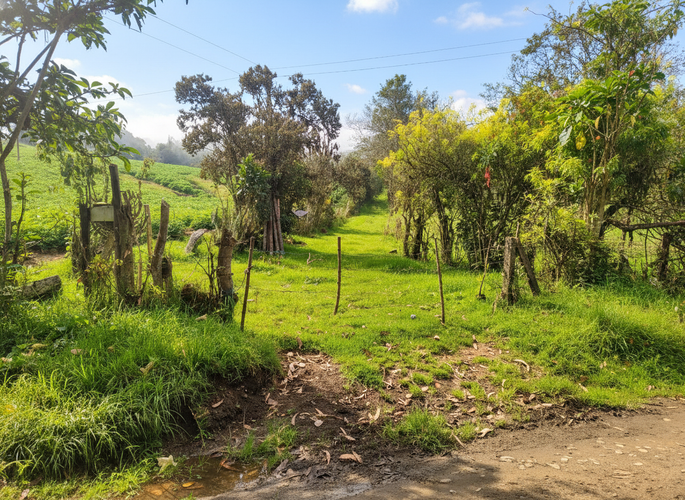 Lote en venta en Quisquiza, La Calera, 12500 m² · foto 5 de 8