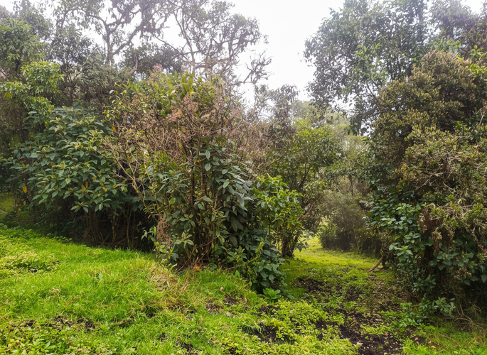Lote en venta en Quisquiza, La Calera, 12500 m² · foto 6 de 8