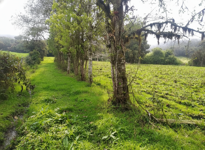 Lote en venta en Quisquiza, La Calera, 12500 m² · foto 8 de 8