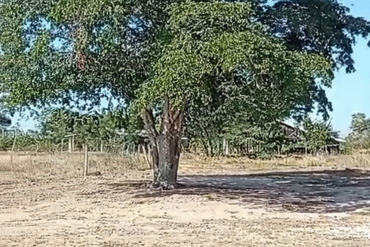 Finca en venta en Candelaria, 30000 m² · foto 2 de 13