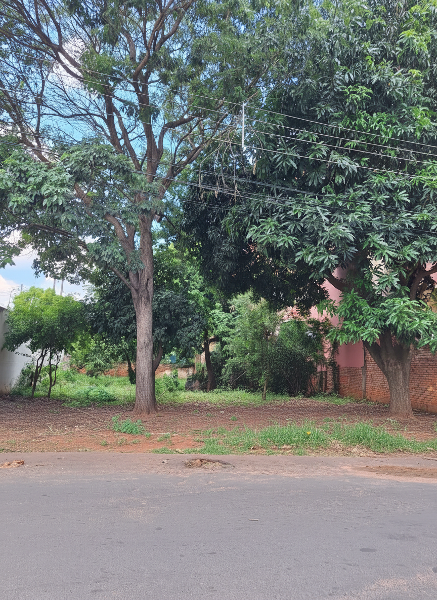 TERRENO EN FERNANDO DE LA MORA ZONA NORTE — foto 2