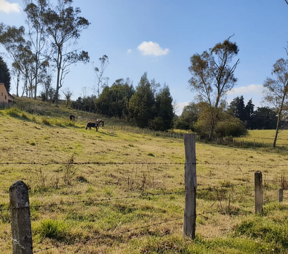 Finca en venta en El Salitre, La Calera, 6241 m² · foto 10 de 14