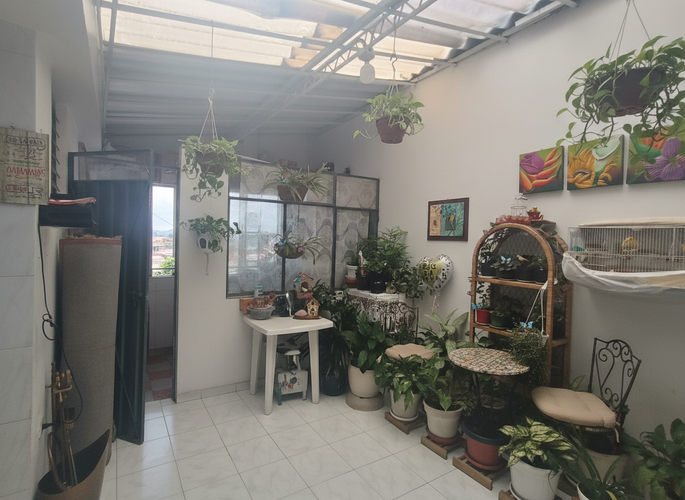 Casa de 5 alcobas en venta en Trinidad Galan, Bogotá, 295 m² · foto 12 de 13