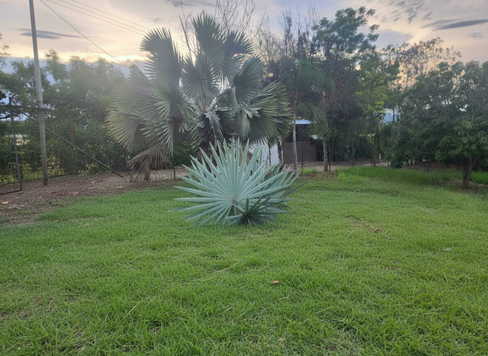 Lote en venta en Ricaurte, Ricaurte, 1348 m² · foto 10 de 10