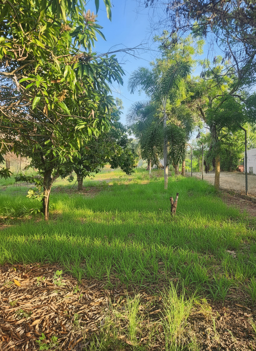 Lote en venta en Ricaurte, Ricaurte, 1348 m² · foto 2 de 10