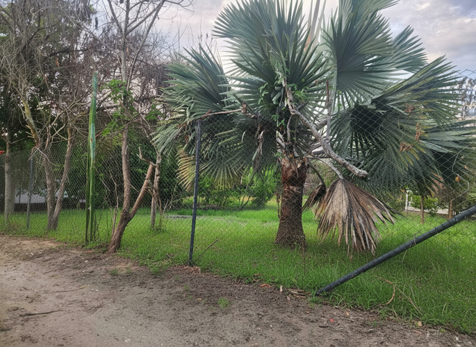 Lote en venta en Ricaurte, Ricaurte, 1348 m² · foto 4 de 10