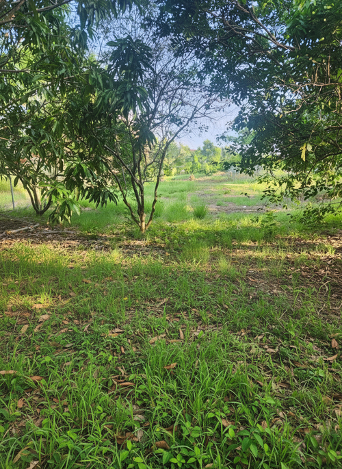 Lote en venta en Ricaurte, Ricaurte, 1348 m² · foto 6 de 10