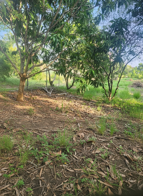Lote en venta en Ricaurte, Ricaurte, 1348 m² · foto 3 de 10