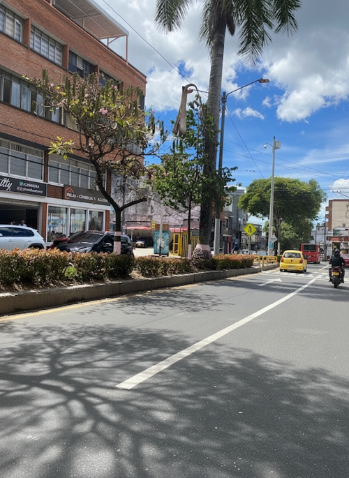 Local en venta en Centro, Ibagué, 59 m² · foto 18 de 22