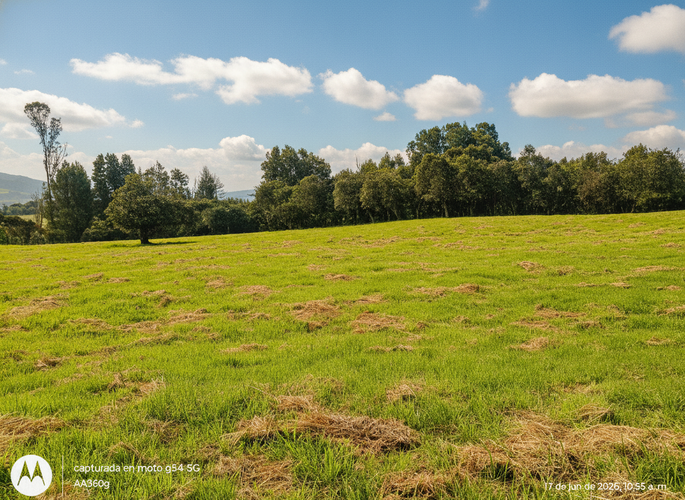 Lote en venta en Frailejonal, La Calera, 7000 m² · foto 2 de 8