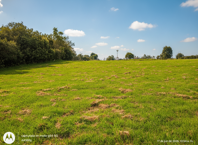 Lote en venta en Frailejonal, La Calera, 7000 m² · foto 3 de 8