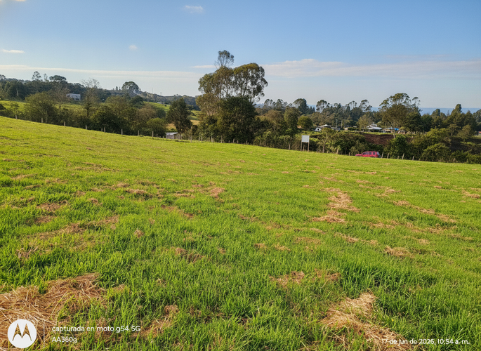 Lote en venta en Frailejonal, La Calera, 7000 m² · foto 4 de 8