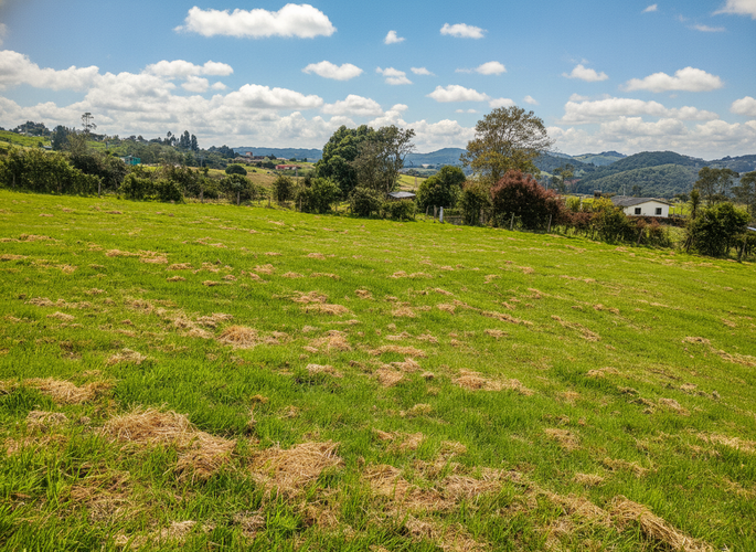 Lote en venta en Frailejonal, La Calera, 7000 m² · foto 5 de 8