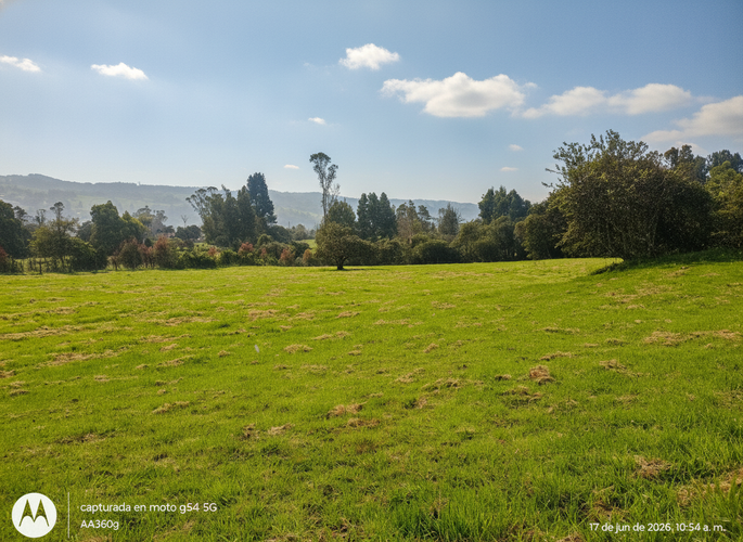 Lote en venta en Frailejonal, La Calera, 7000 m² · foto 7 de 8