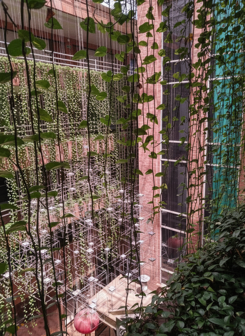 Oficina en arriendo en El Poblado, Medellín, 26 m² · foto 6 de 7