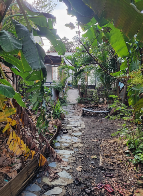 Lote en venta en San Antonio, Cali, 344 m² · foto 5 de 24