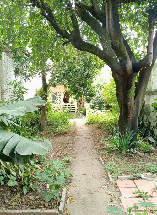 Lote en venta en San Antonio, Cali, 344 m² · foto 12 de 24