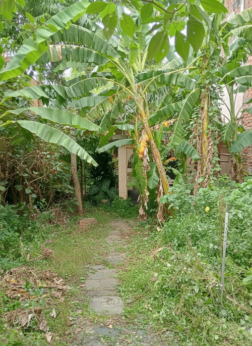 Lote en venta en San Antonio, Cali, 344 m² · foto 14 de 24