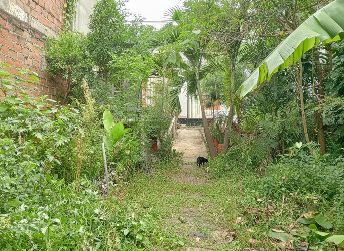 Lote en venta en San Antonio, Cali, 344 m² · foto 15 de 24