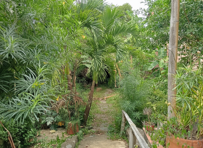 Lote en venta en San Antonio, Cali, 344 m² · foto 16 de 24