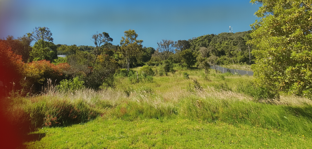 Lote en venta en Yerbabonita Bosque Nativo, Sopó, 2166 m² · foto 2 de 3