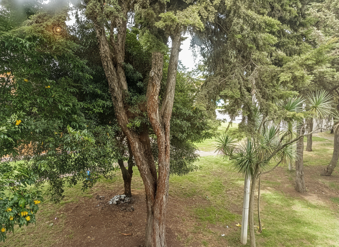 Casa de 4 alcobas en venta en Bonanza, Bogotá, 69 m² · foto 23 de 24