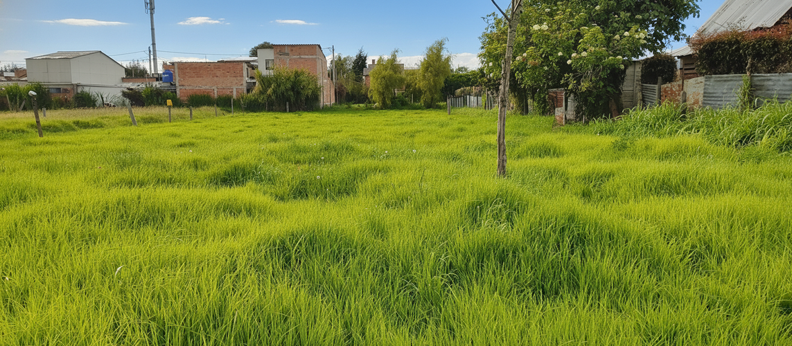 Lote en venta en Bojaca, Chía, 1400 m² · foto 3 de 3