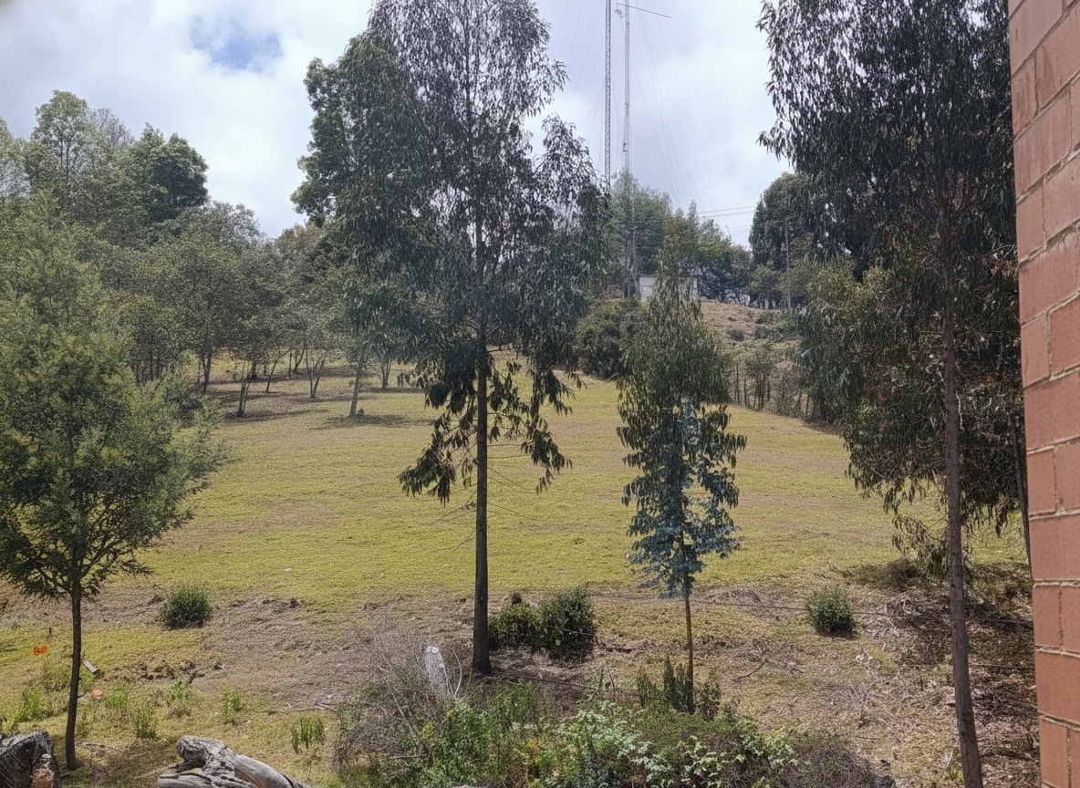 Apartamento en venta en Cerros De Suba, Bogotá · foto 3 de 24