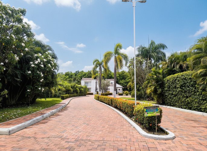 Casa de 4 alcobas en venta en Las Palmas, Ricaurte, 341 m² · foto 20 de 21