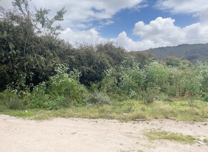 Lote en venta en Pueblo Viejo, Cota, 16936 m² · foto 19 de 20