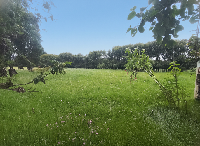 Lote en venta en Canelon, Cajicá, 12800 m² · foto 4 de 9