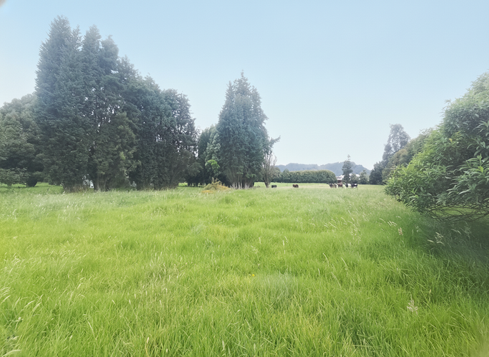 Lote en venta en Canelon, Cajicá, 12800 m² · foto 5 de 9