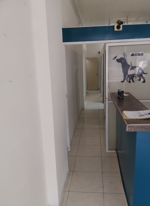 Local en arriendo en El Prado, Barranquilla, 54 m² · foto 4 de 5