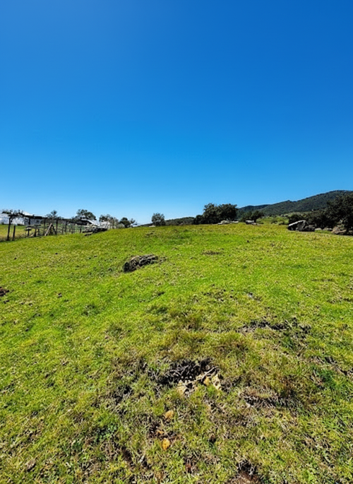 Lote en venta en San Jose De La Concepcion, La Calera, 7 m² · foto 3 de 20