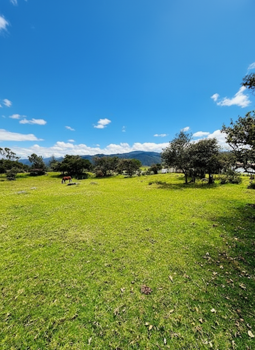 Lote en venta en San Jose De La Concepcion, La Calera, 7 m² · foto 4 de 20