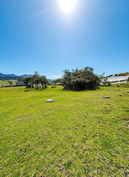 Lote en venta en San Jose De La Concepcion, La Calera, 7 m² · foto 6 de 20