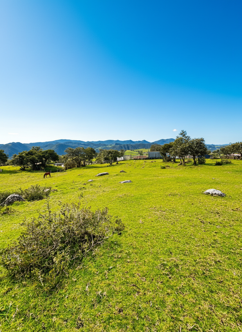 Lote en venta en San Jose De La Concepcion, La Calera, 7 m² · foto 7 de 20
