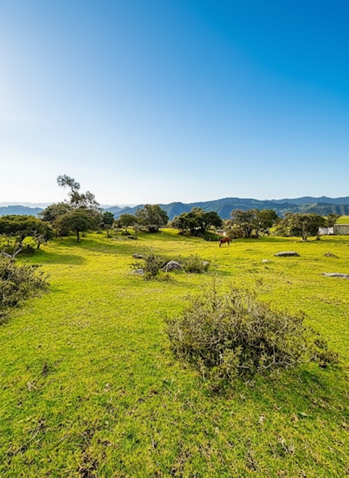 Lote en venta en San Jose De La Concepcion, La Calera, 7 m² · foto 8 de 20