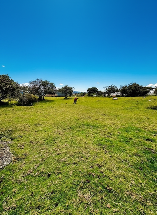 Lote en venta en San Jose De La Concepcion, La Calera, 7 m² · foto 9 de 20
