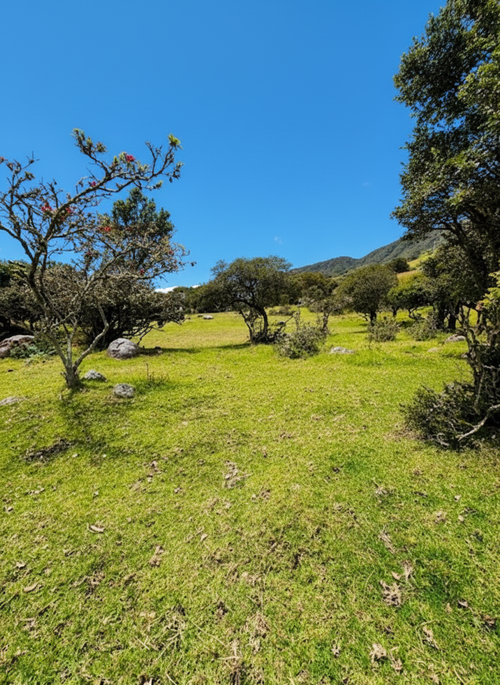 Lote en venta en San Jose De La Concepcion, La Calera, 7 m² · foto 10 de 20